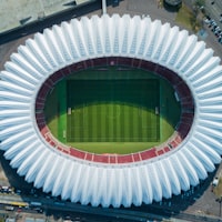 法国国家足球队蓝色球衣与高卢雄鸡标志